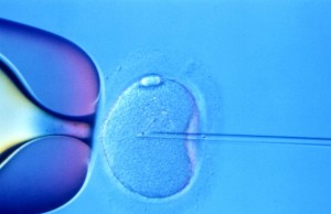 IVF-1