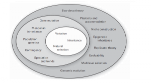 ExtendedSynthesisscheme