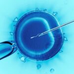 In Vitro Fertilisatie
